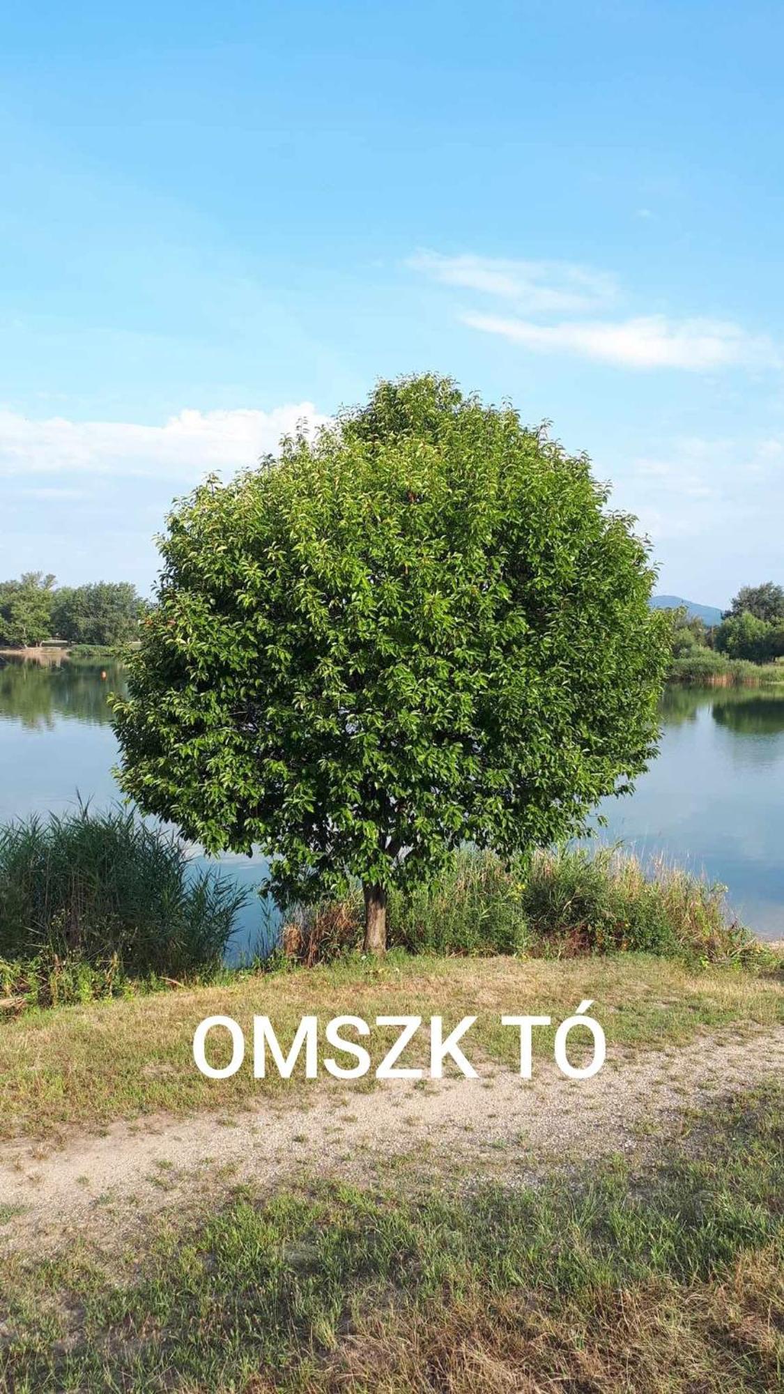 Zen Apartman Budakalász Dış mekan fotoğraf